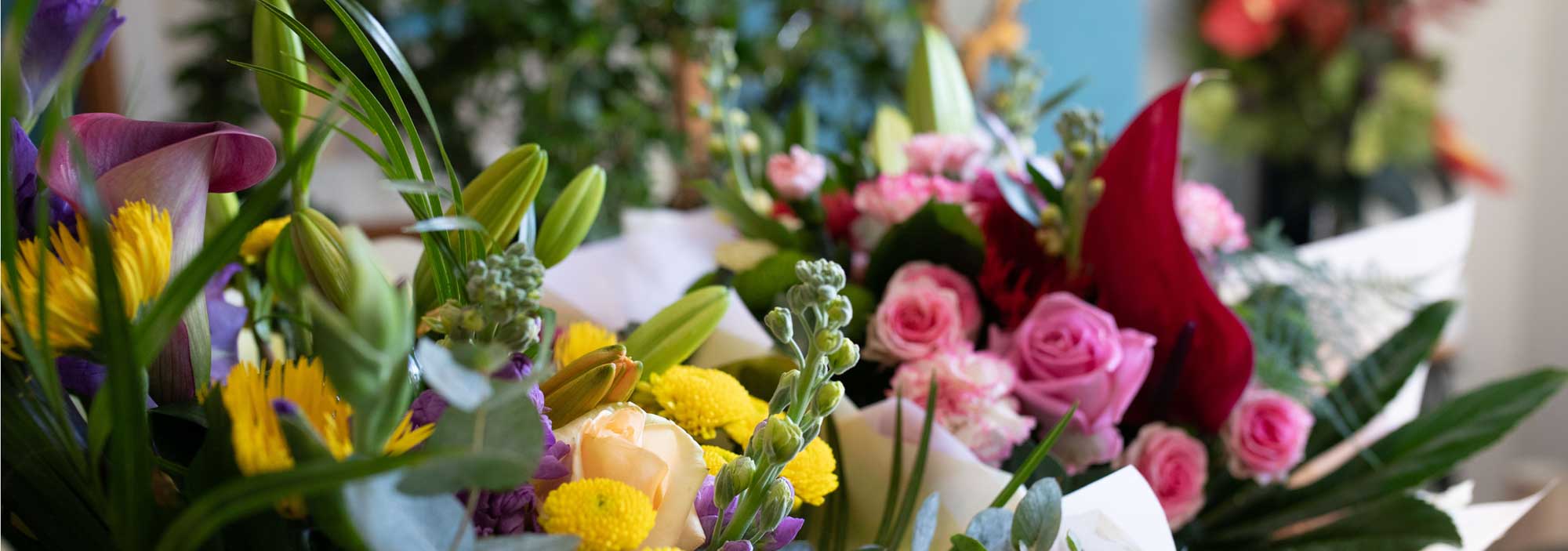 Seasonal bouquets from Octagon Flowers in Bolton offering same-day delivery